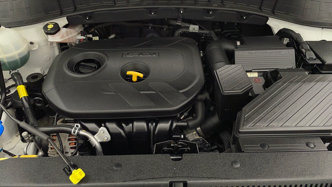 Open Bonnet (Engine)