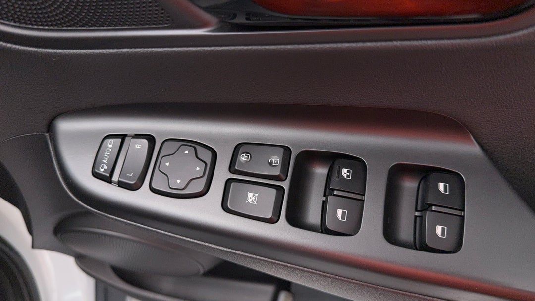 Drivers Side Door Panel Controls