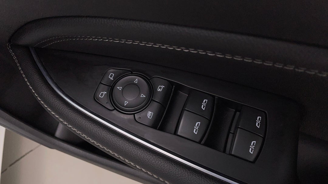Drivers Side Door Panel Controls