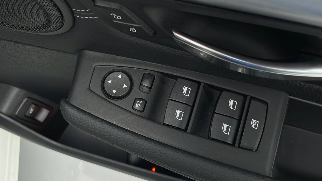 Drivers Side Door Panel Controls