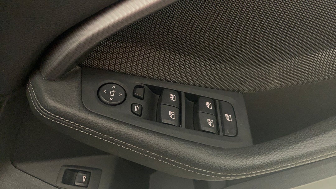 Drivers Side Door Panel Controls