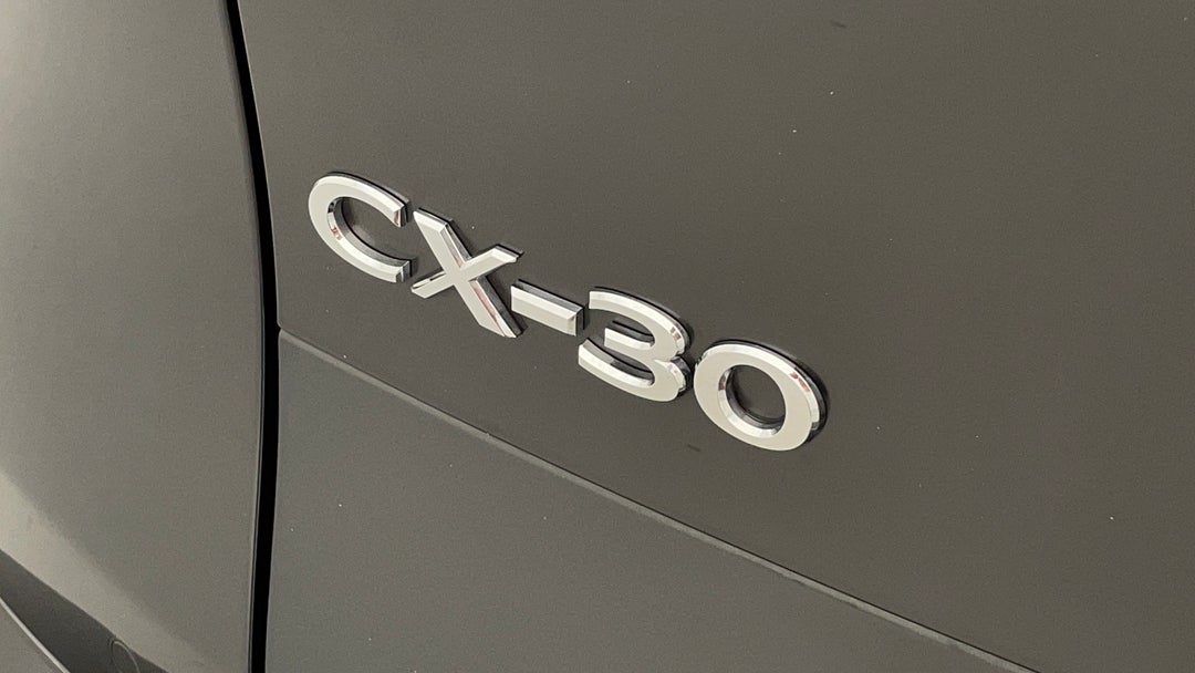 Badge (Boot Left Side)