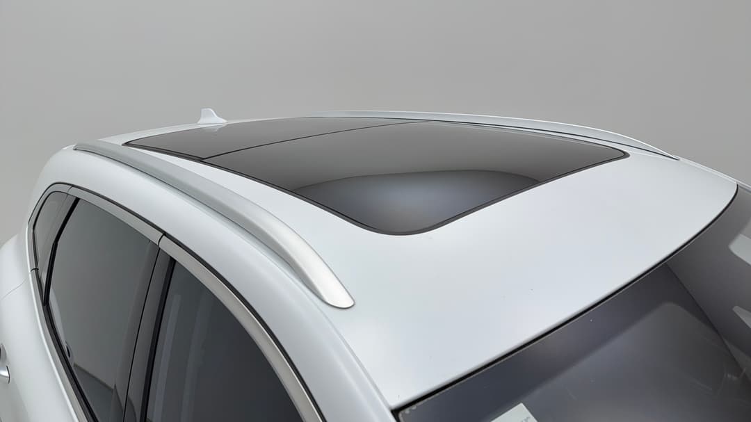 Roof/Sunroof View
