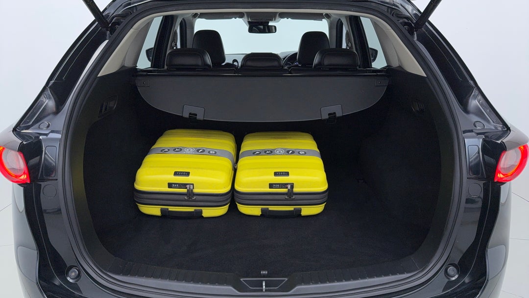 Boot Inside View with Luggage