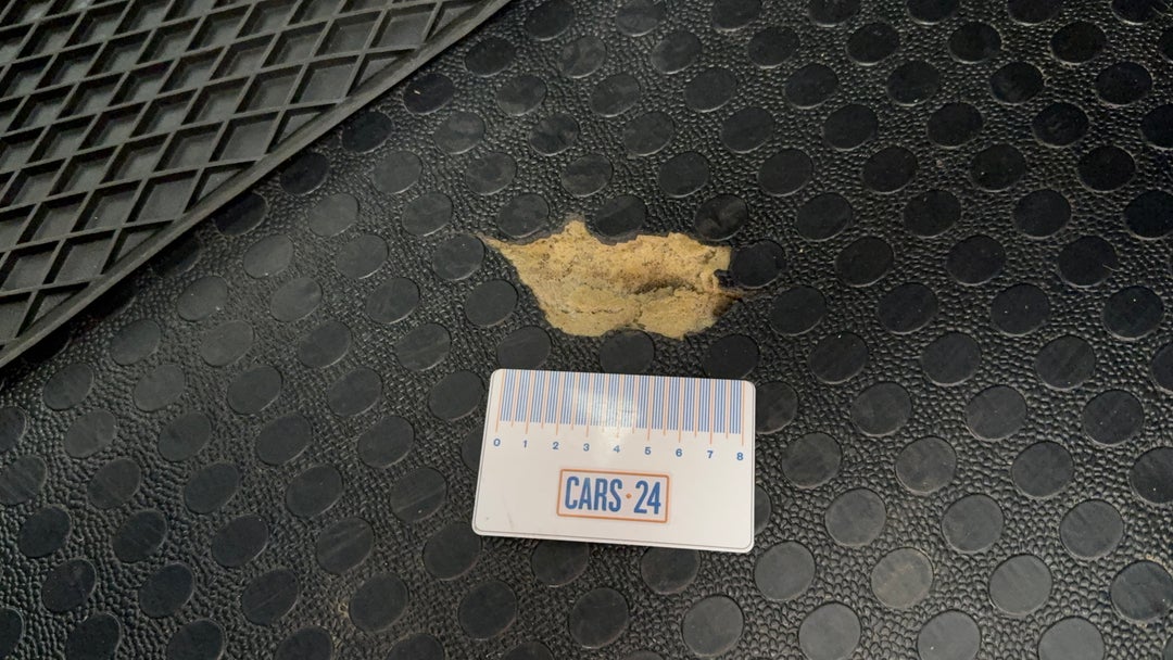 Floors / Carpets Tear