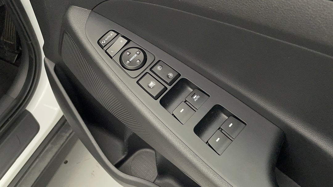 Drivers Side Door Panel Controls