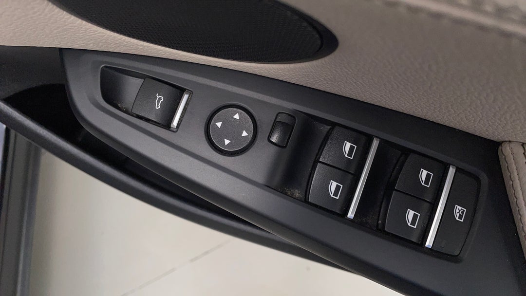Drivers Side Door Panel Controls