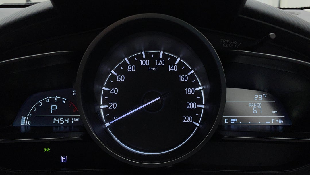 Odometer View