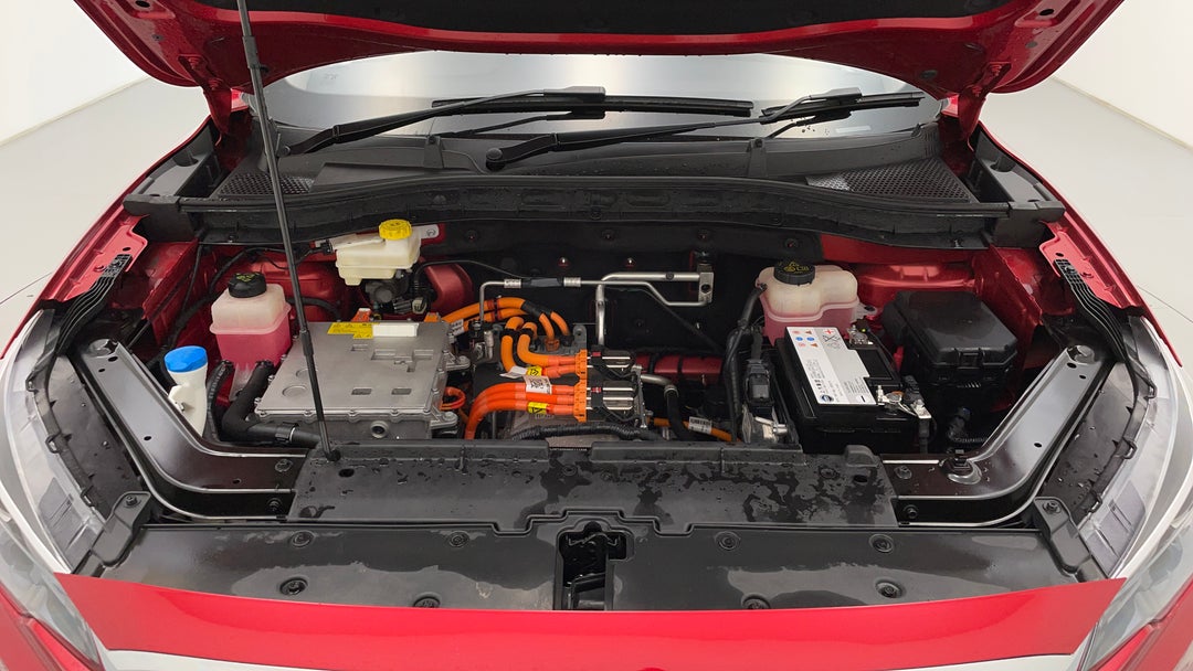 Open Bonnet (Engine)