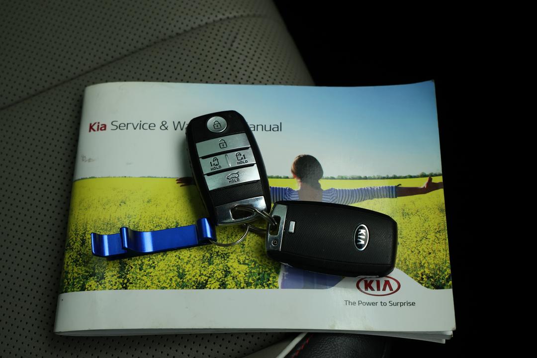 2016 Kia Carnival Platinum, Automatic, 116418 km, Service History