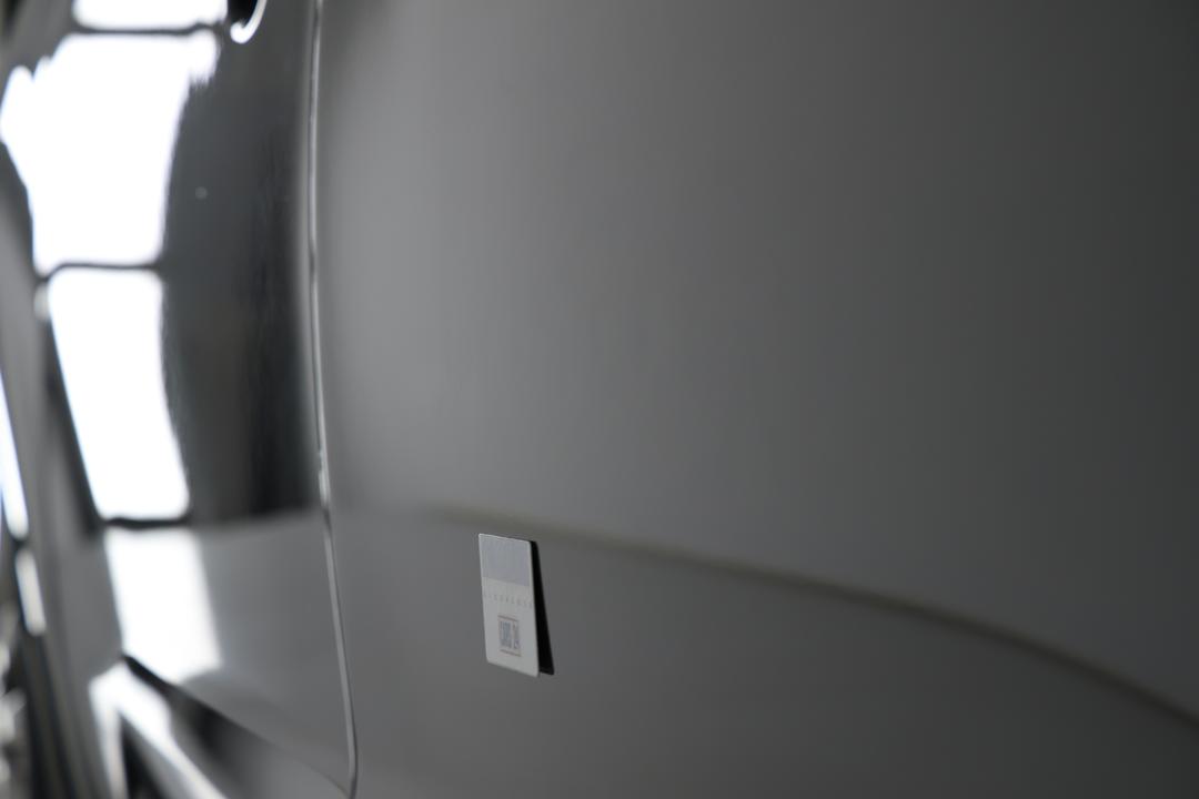 2016 Kia Carnival Platinum, Automatic, 116418 km, Doors Rear LHS Fade