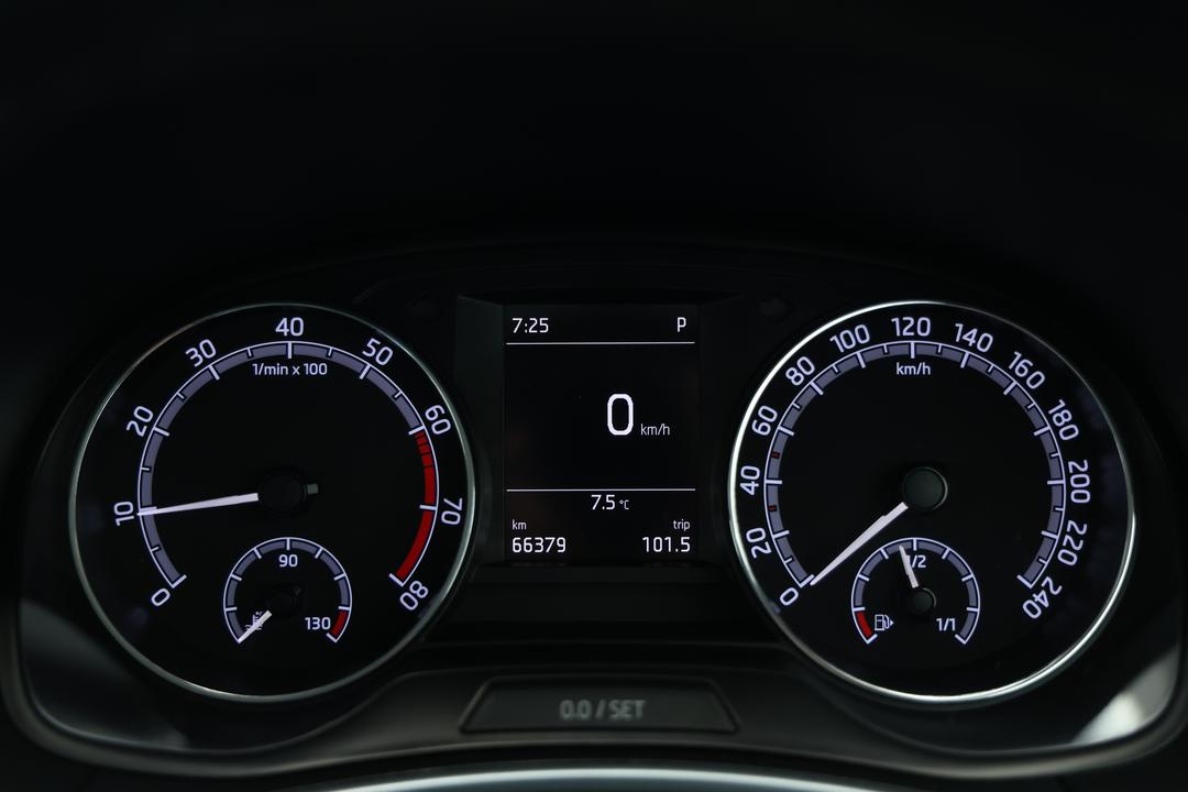 2019 SKODA Fabia 81 Tsi, Automatic, 66379 km, Odometer View