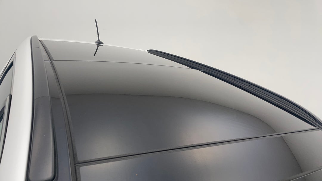 Roof/Sunroof View