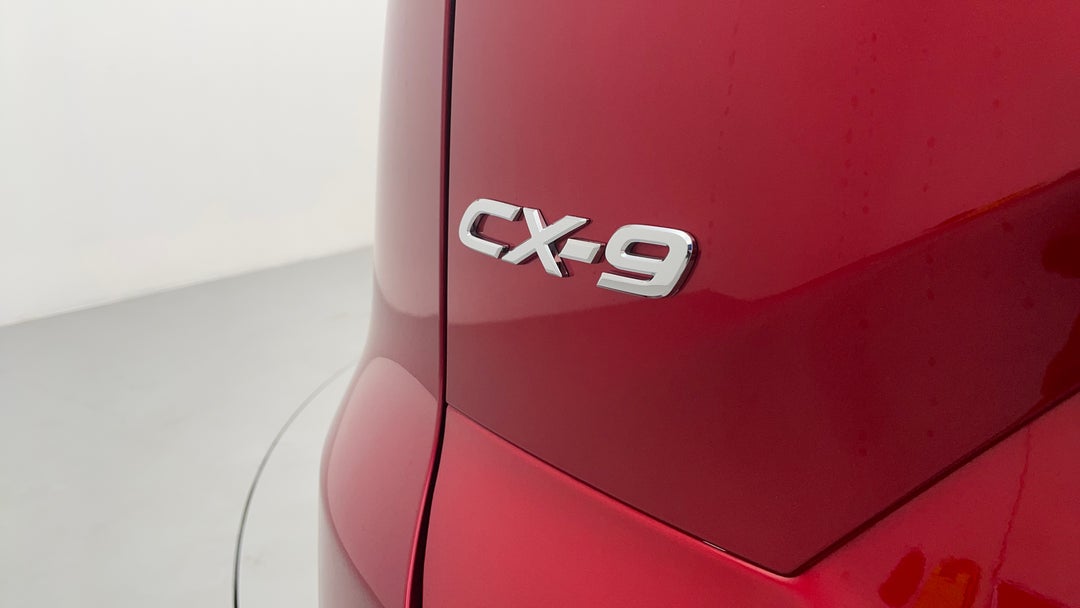 Badge (Boot Left Side)