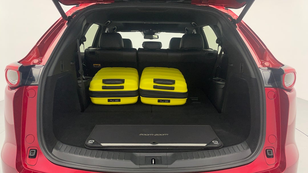 Boot Inside View with Luggage