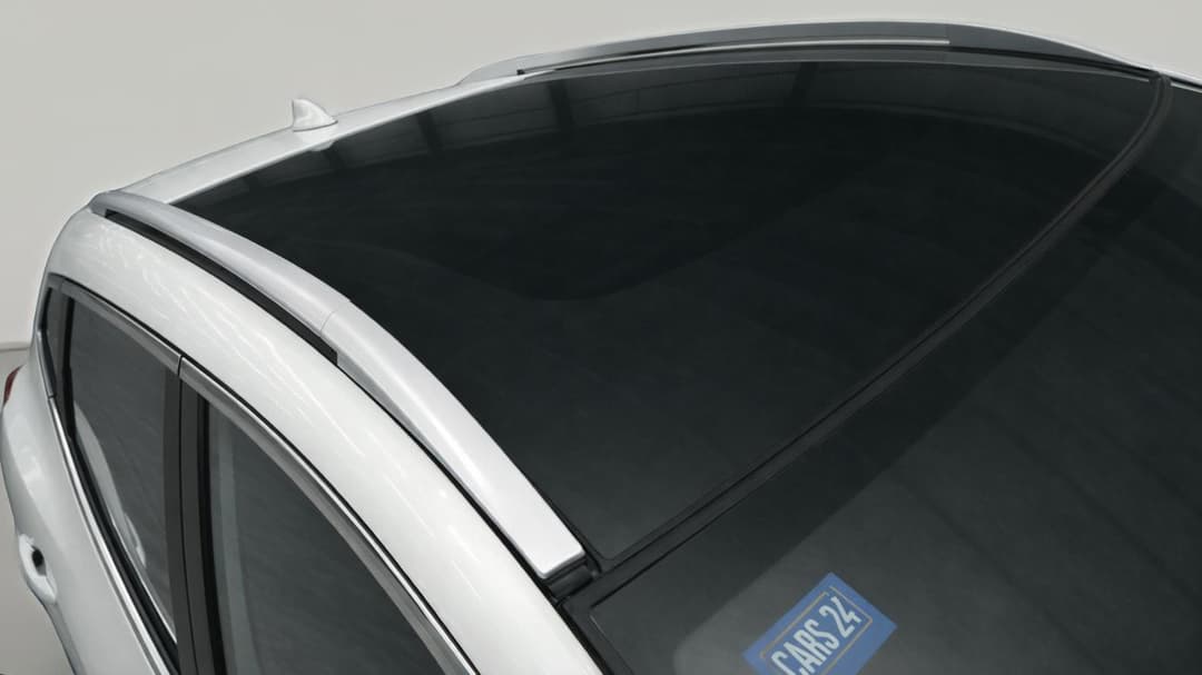 Roof/Sunroof View