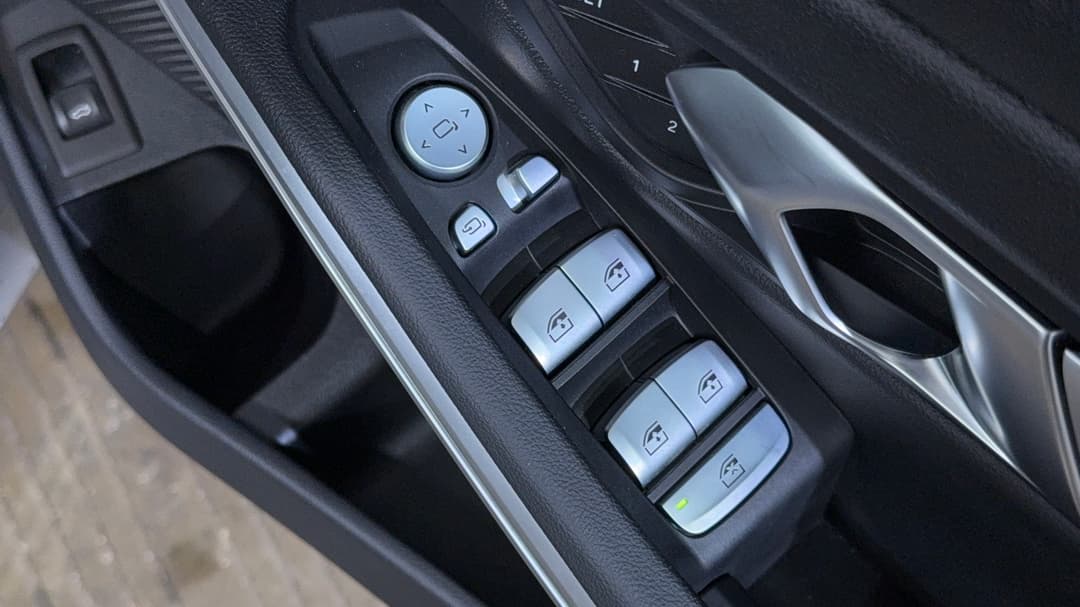 Drivers Side Door Panel Controls