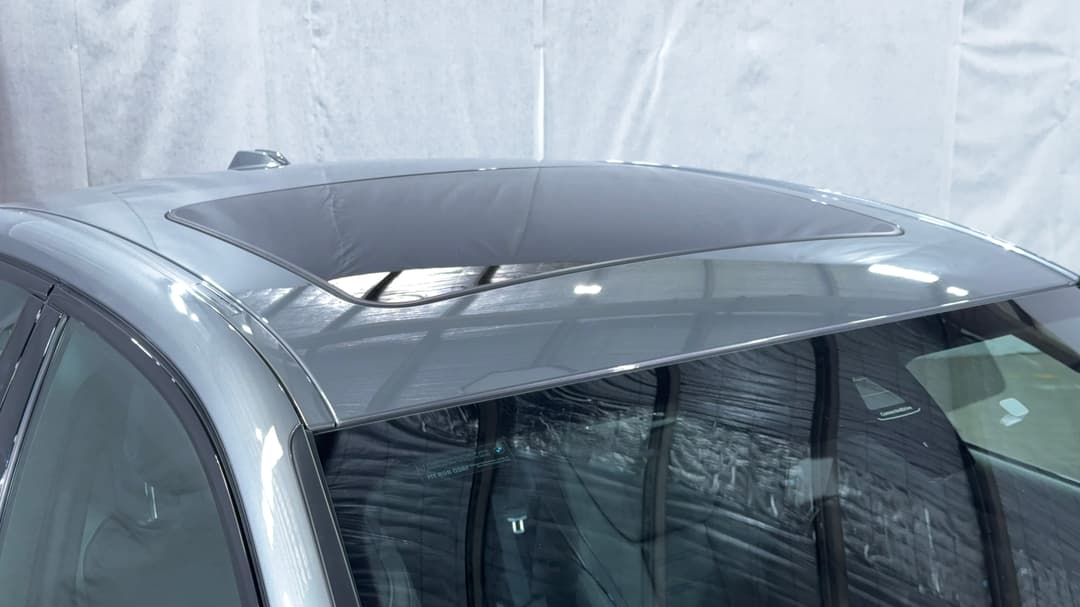Roof/Sunroof View
