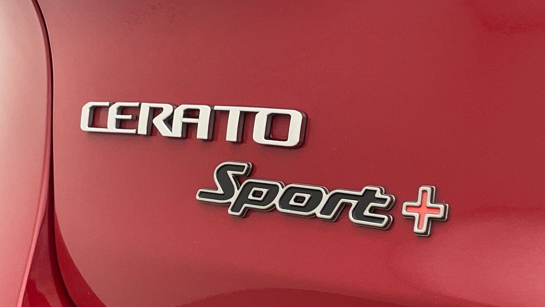 Badge (Boot Left Side)