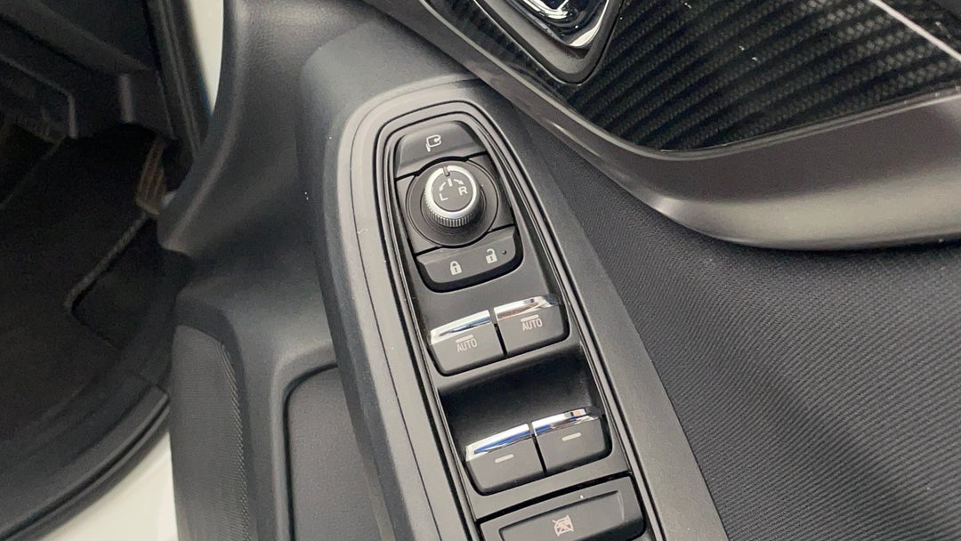 Drivers Side Door Panel Controls