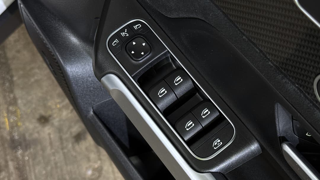 Drivers Side Door Panel Controls