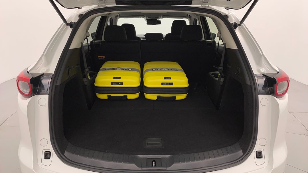 Boot Inside View with Luggage