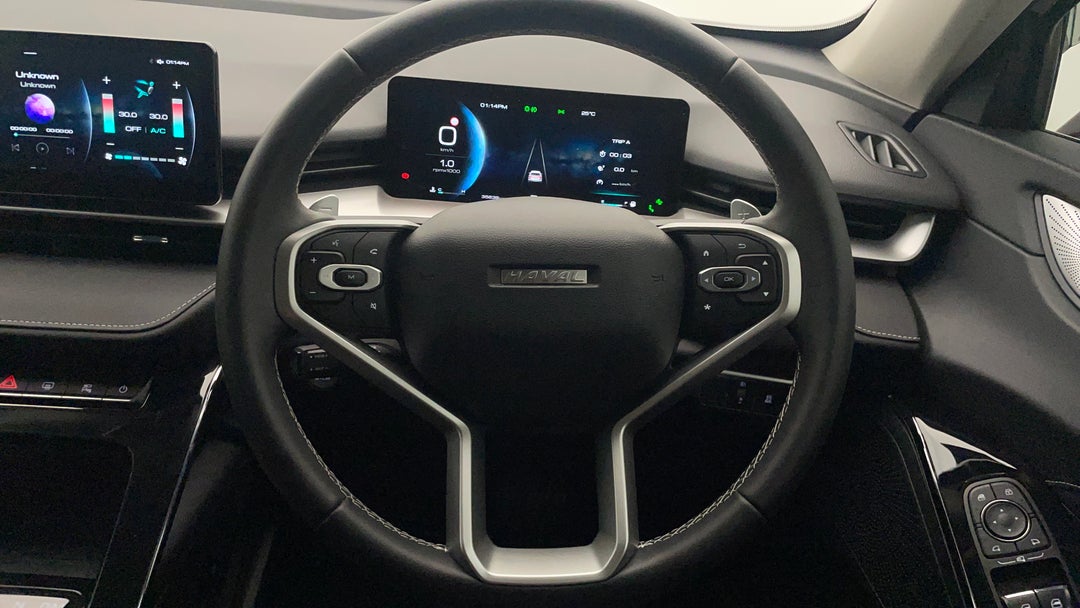 Steering Wheel Close-up