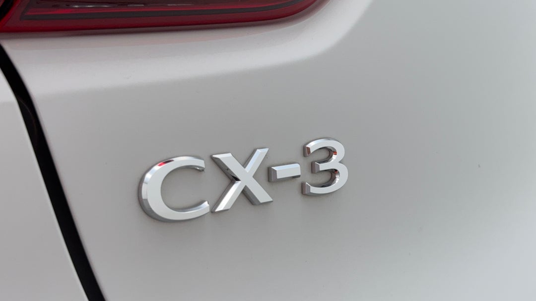 Badge (Boot Left Side)