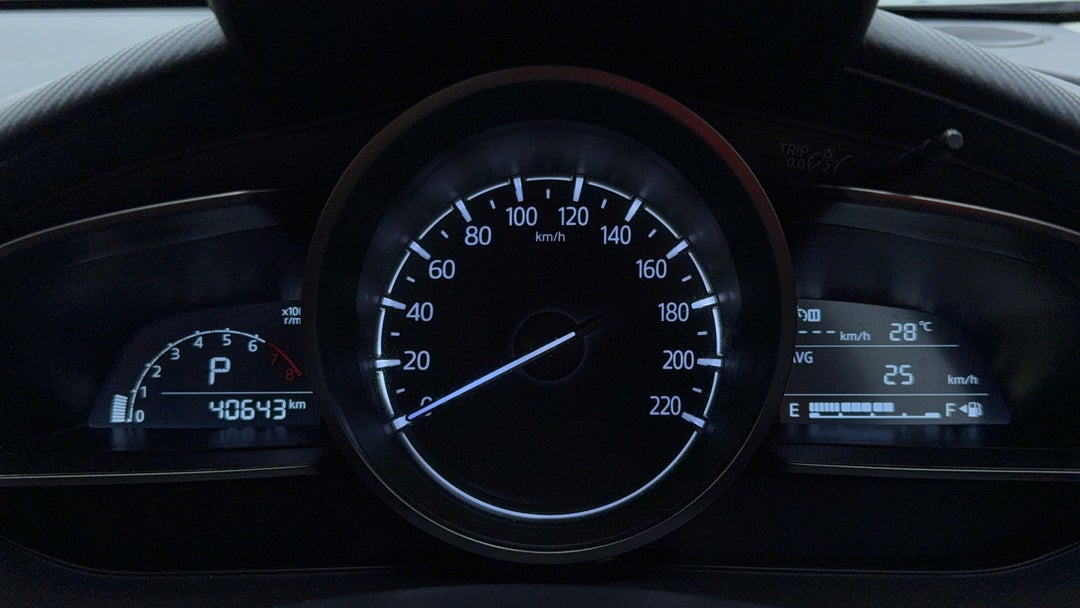 Odometer View