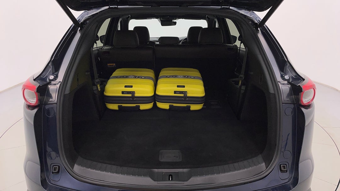 Boot Inside View with Luggage