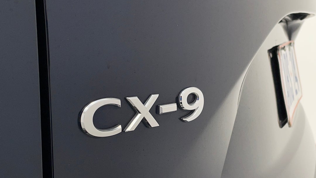 Badge (Boot Left Side)