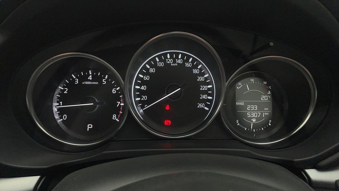 Odometer View
