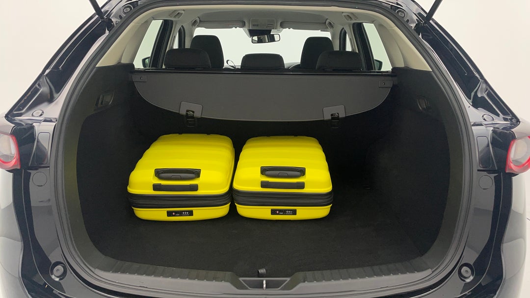 Boot Inside View with Luggage