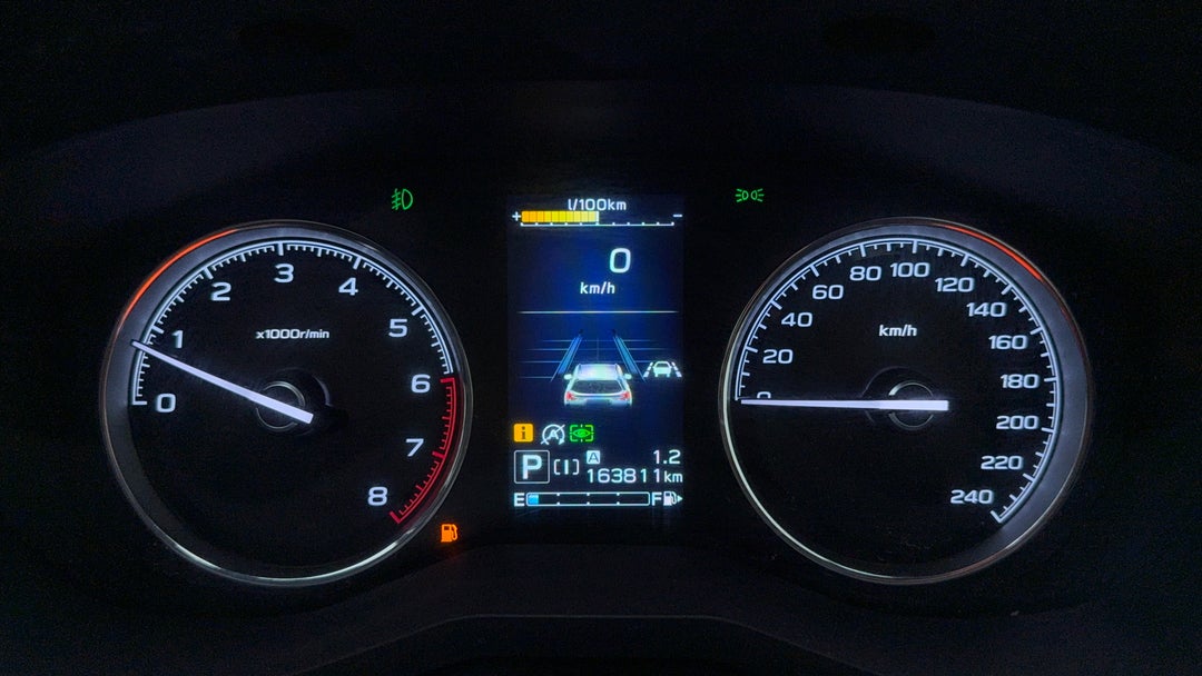 Odometer View
