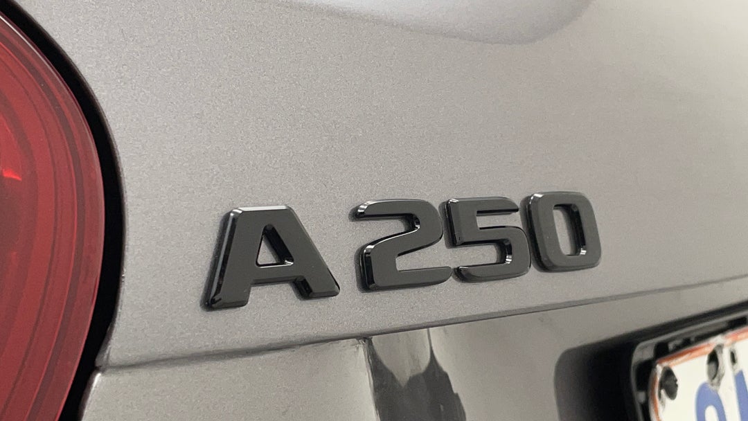 Badge (Boot Left Side)