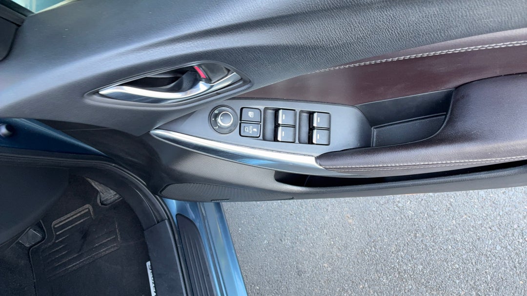 Drivers Side Door Panel Controls