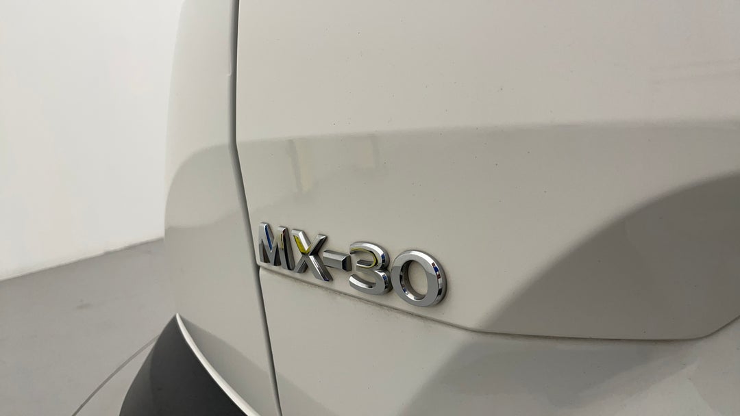 Badge (Boot Left Side)