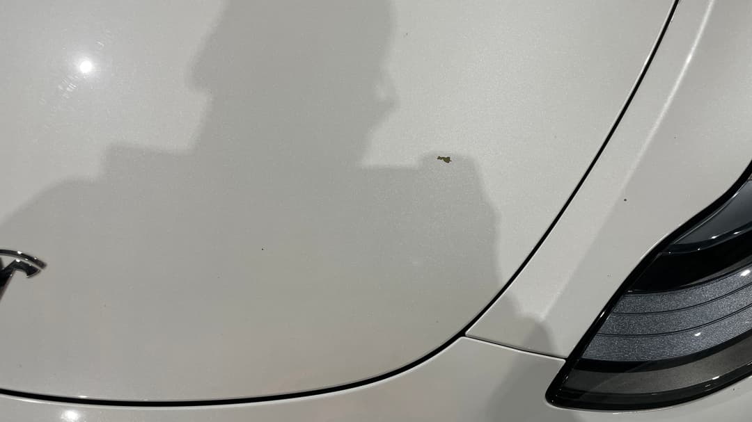 2023 Tesla Model Y Rear-wheel Drive, Automatic, 43174 km, Bonnet Chip