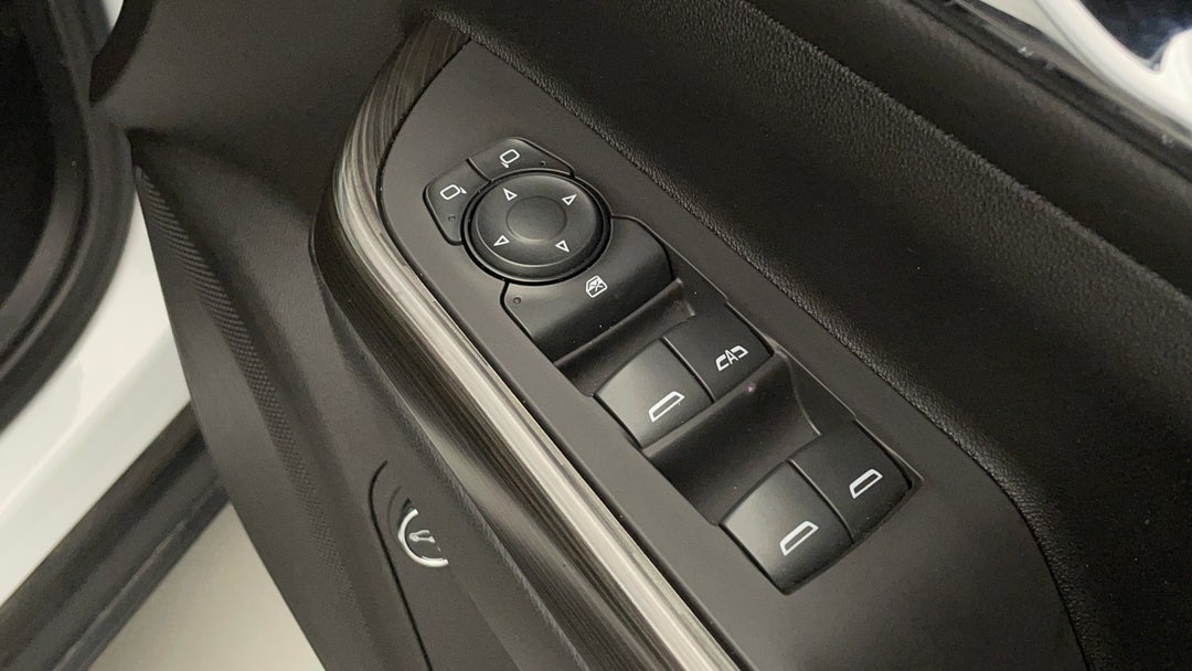 Drivers Side Door Panel Controls