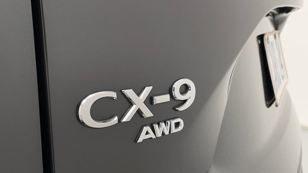 Badge (Boot Left Side)