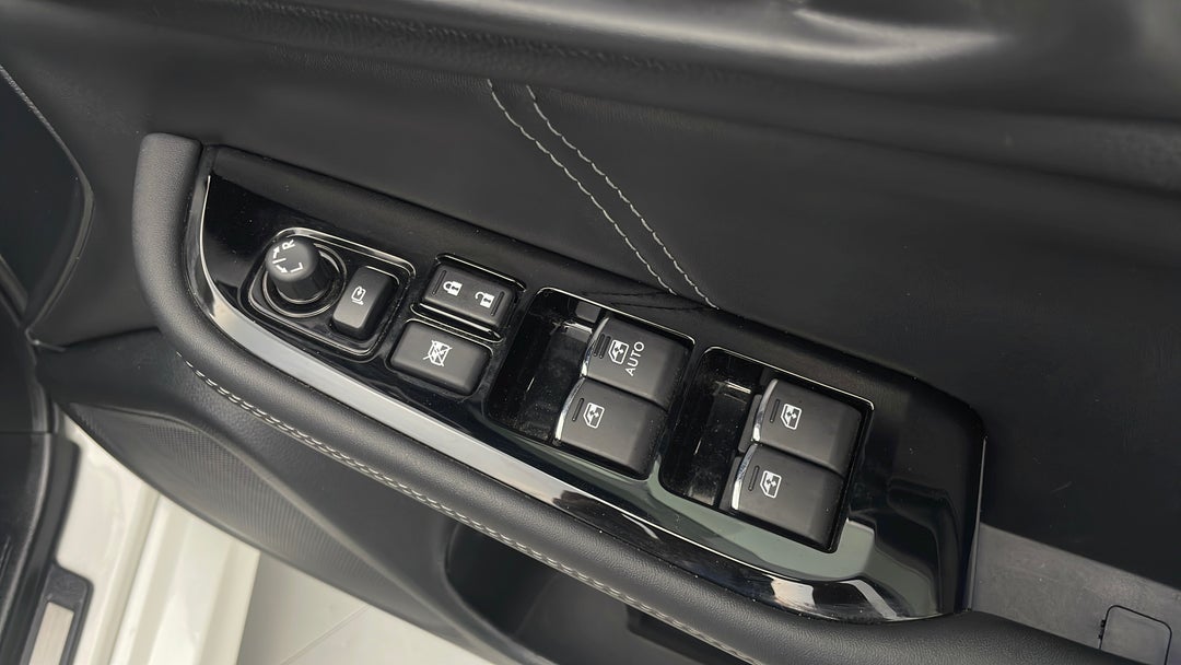 Drivers Side Door Panel Controls