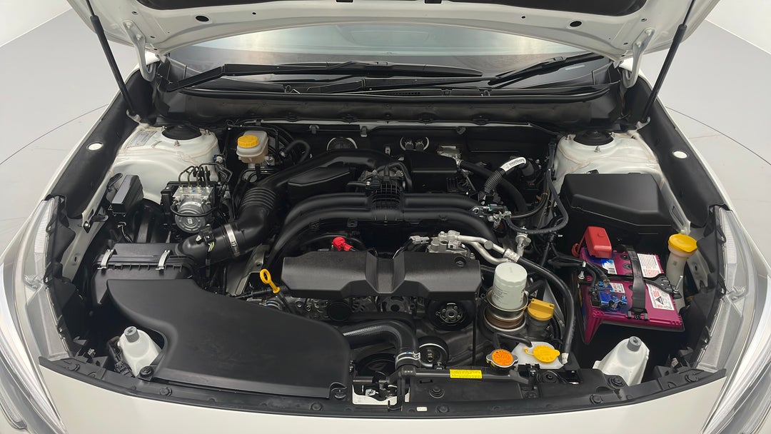 Open Bonnet (Engine)