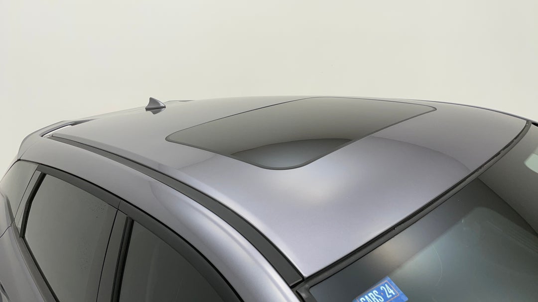 Roof/Sunroof View