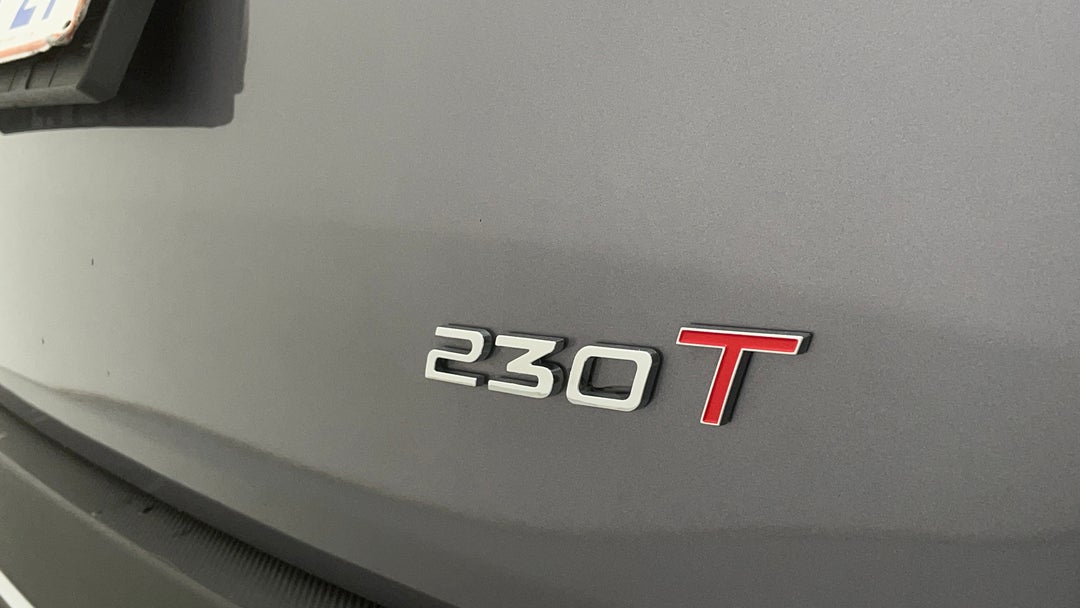 Badge (Boot Right Side)