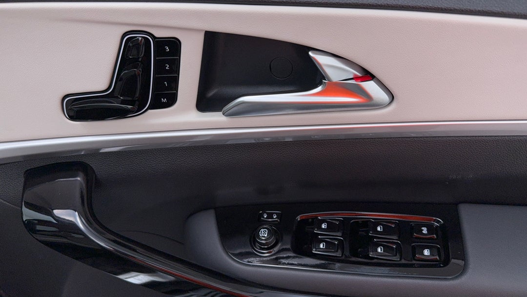 Drivers Side Door Panel Controls