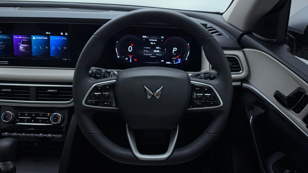 Steering Wheel Close-up