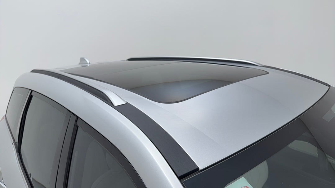 Roof/Sunroof View