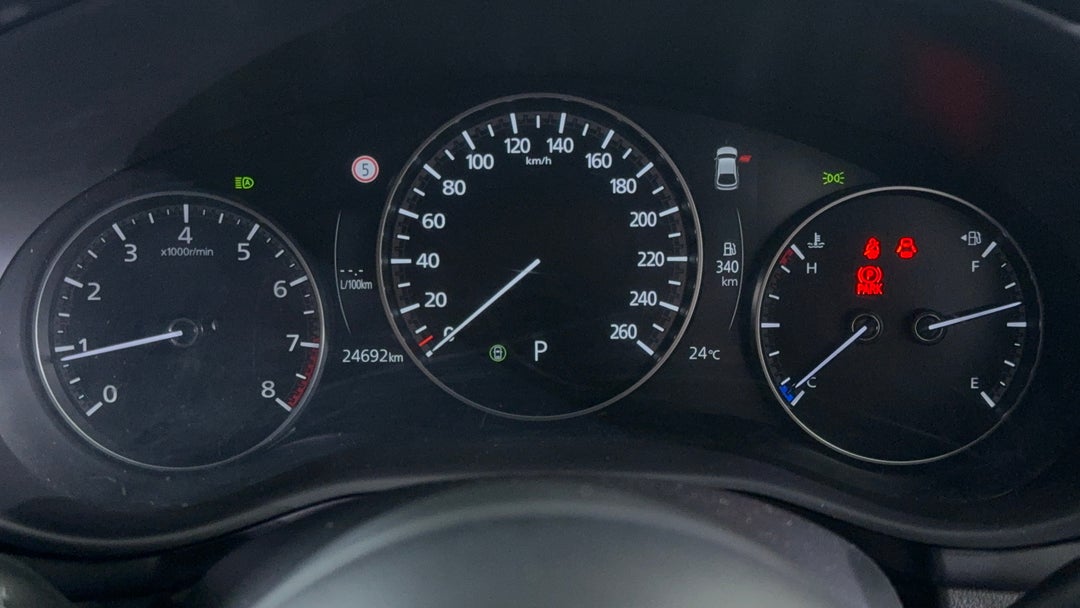 Odometer View