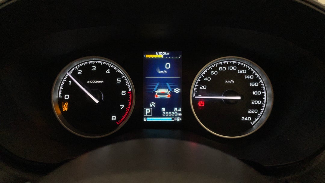 Odometer View