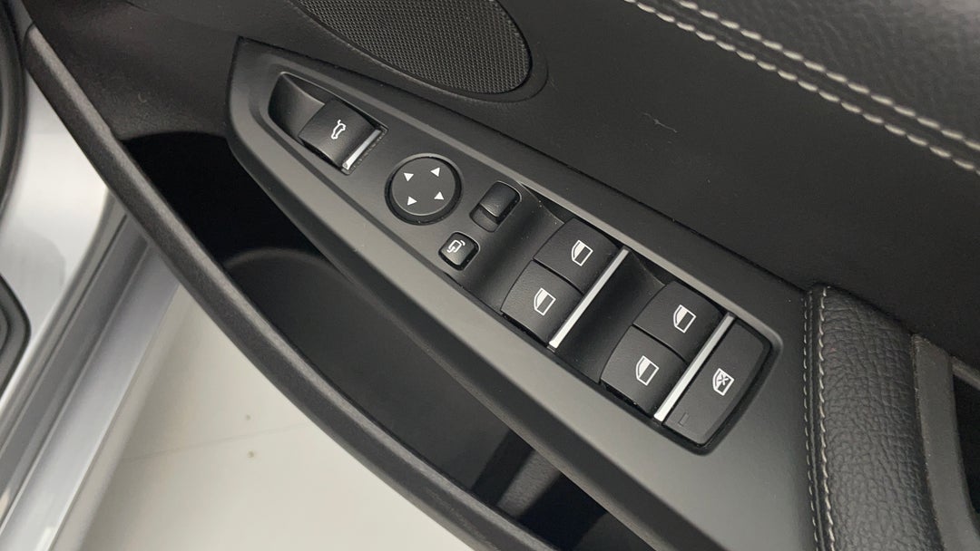 Drivers Side Door Panel Controls